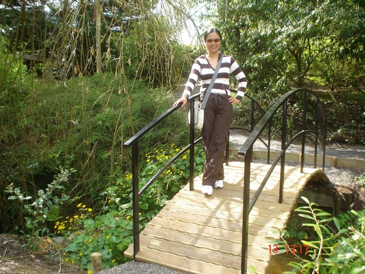 Monet_bridge_Dingle_Gardens.jpg