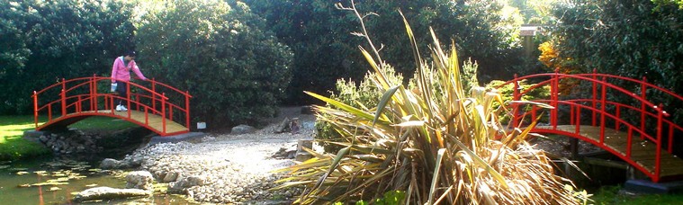 Frequently_asked_questions_Norwich_Japanese_garden_bridges.jpg